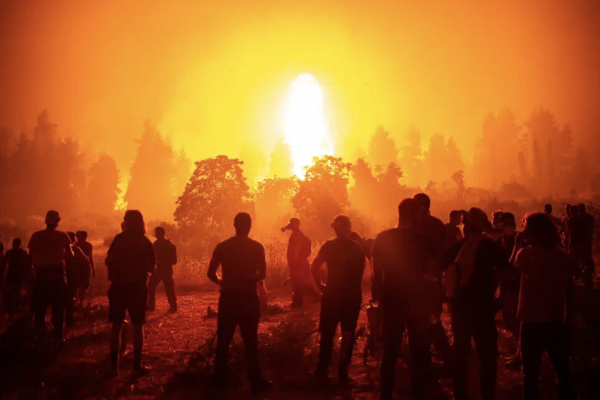 Foresight Festival: Regenerative Futures